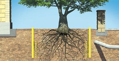 Root Control Barrier Membrane