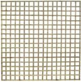 Heavy Square Trellis 60mm Pressure Treated