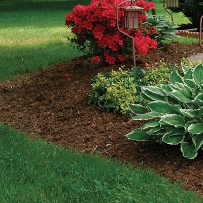 Topsoil