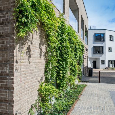 GreenWall Wire Trellis