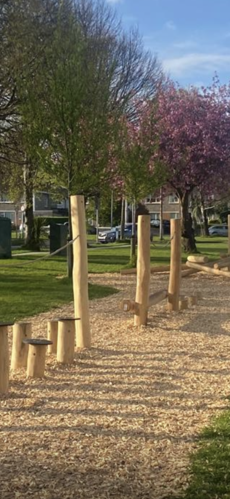 Playground Woodchip South Dublin Playground