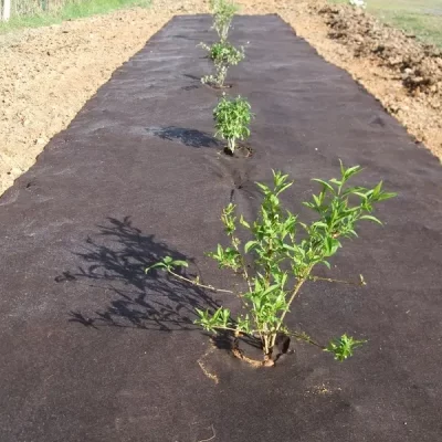 non woven ground cover ireland