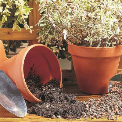 Compost Additives