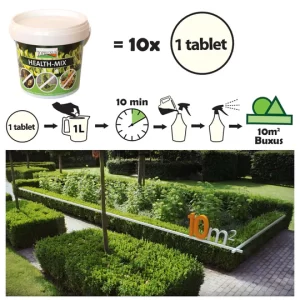 Top Buxus Health Mix