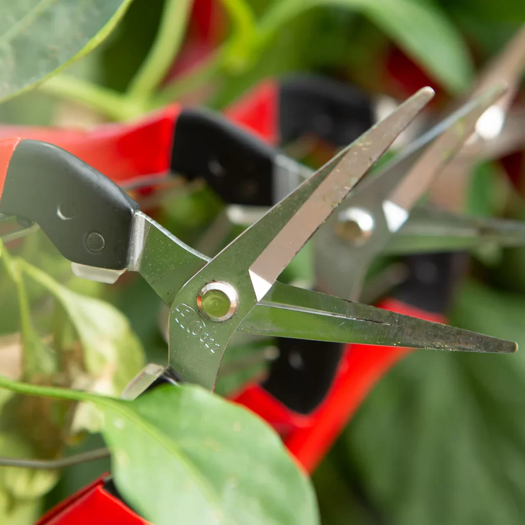 Felco 322_Snips