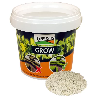 Top Buxus Grow