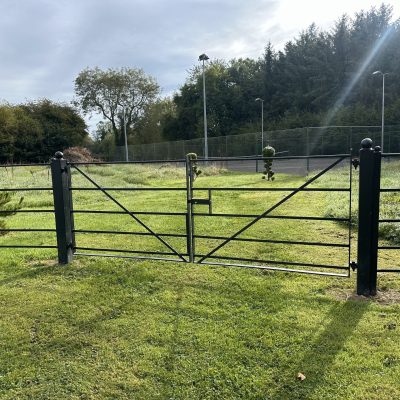 Estate Railing Double Gates